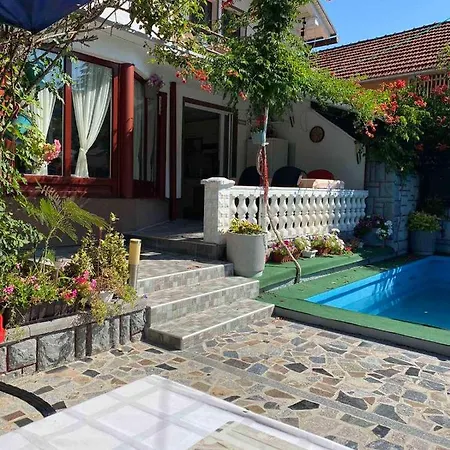 Dino Casa de Férias
